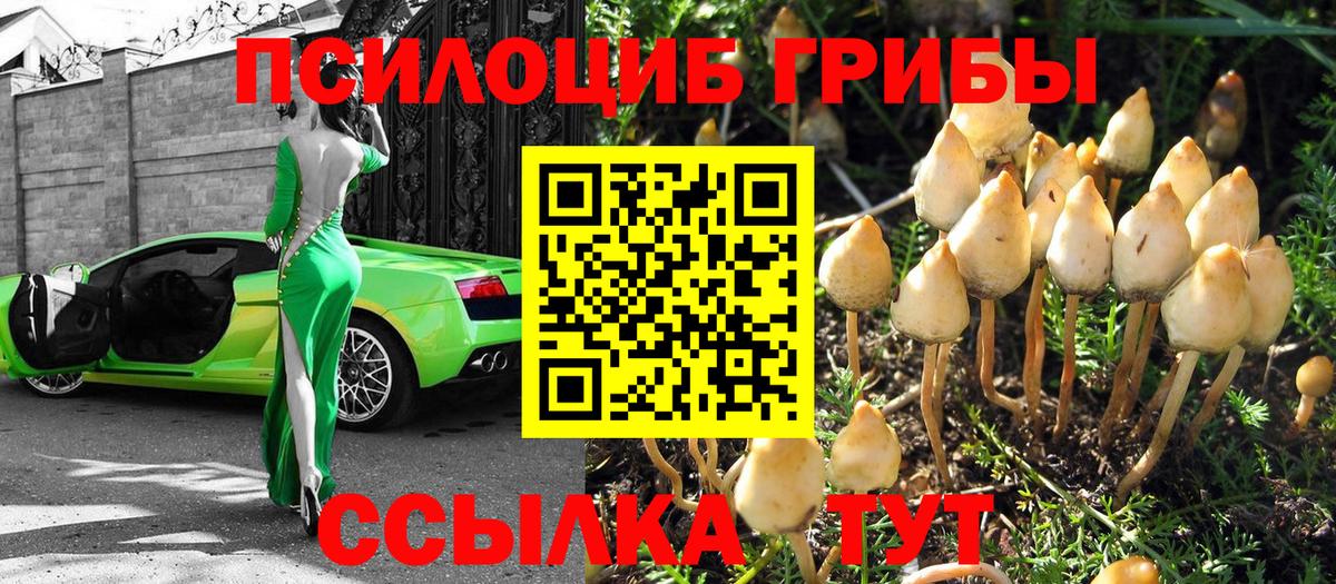 Галлюциногенные грибы MAGIC MUSHROOMS  Вход с VPN  Бузулук 