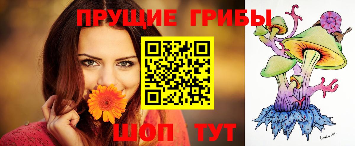Галлюциногенные грибы GOLDEN TEACHER Бузулук